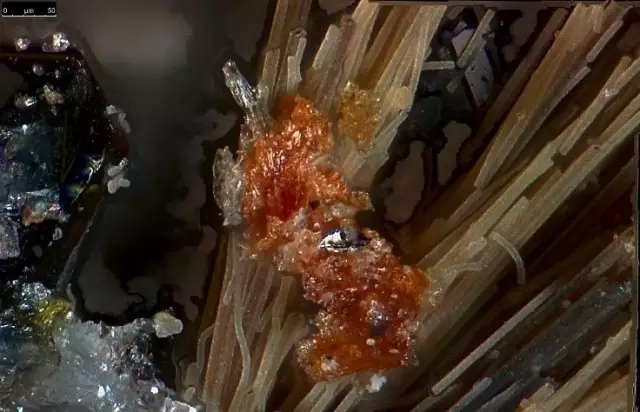 徠卡課堂 |如何運用一臺偏振光顯微鏡對經過或未經過制備的樣品進行分析